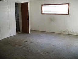 Garage Conversion