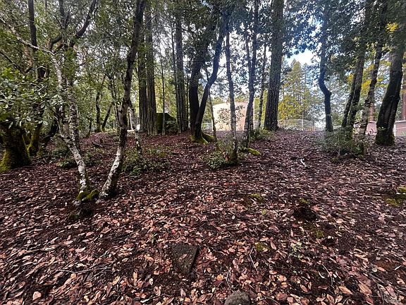 4th image of 2149 Goose Road