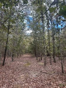 Centerwood St, Blossom, TX, 75416