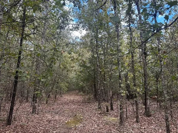 Centerwood St, Blossom, TX 75416