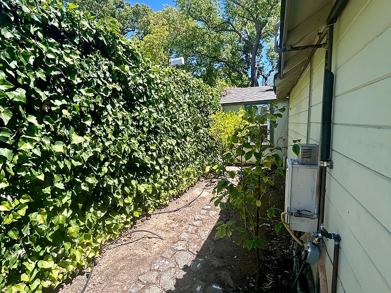 Side Yard