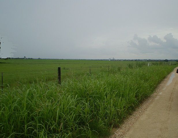 2nd image of TX 97