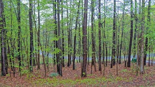 2nd image of 115 Creek View Rd