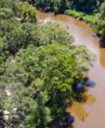  1 mile access on the river