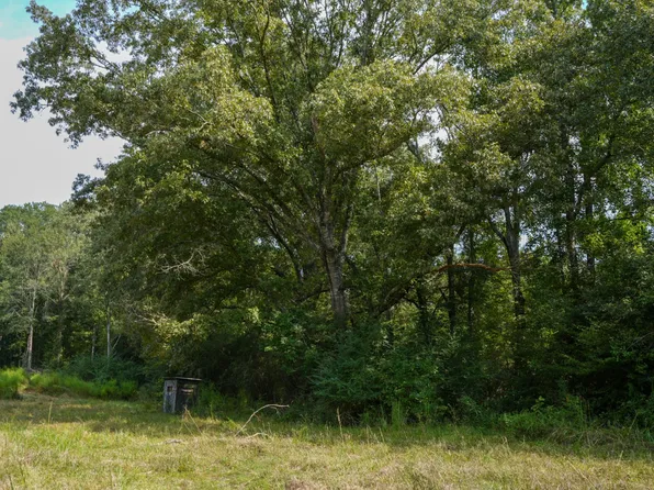 0 Bethesda Rd, Crystal Springs, MS 39059