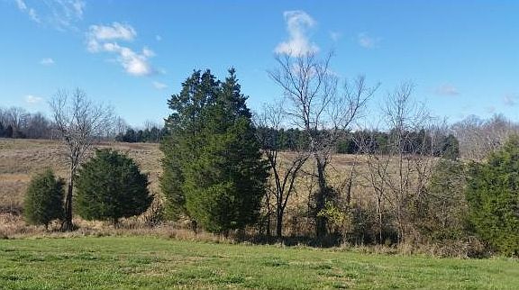 3rd image of 14025 Hayes Branch Ln