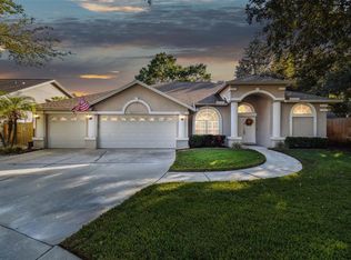 4410 Round Lake Ct, Tampa, FL 33618