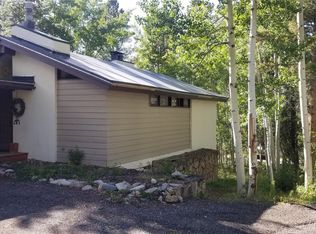 100 S Pine St APT 1, Breckenridge, CO 80424