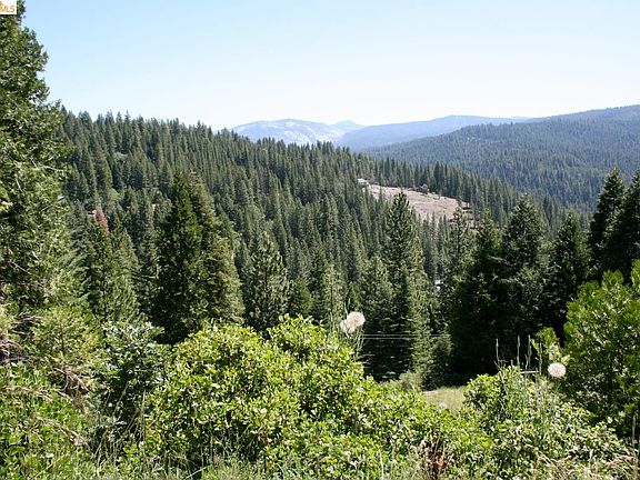 3rd image of 29671 Lassen Dr