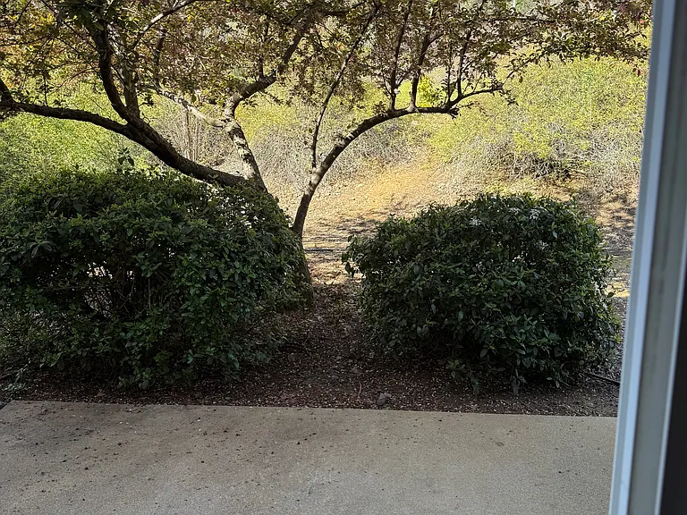 Meadowood Townhomes — Photo 25