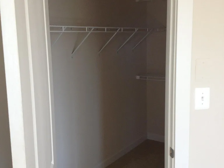 Primary Bedroom Walk-In Closet #1