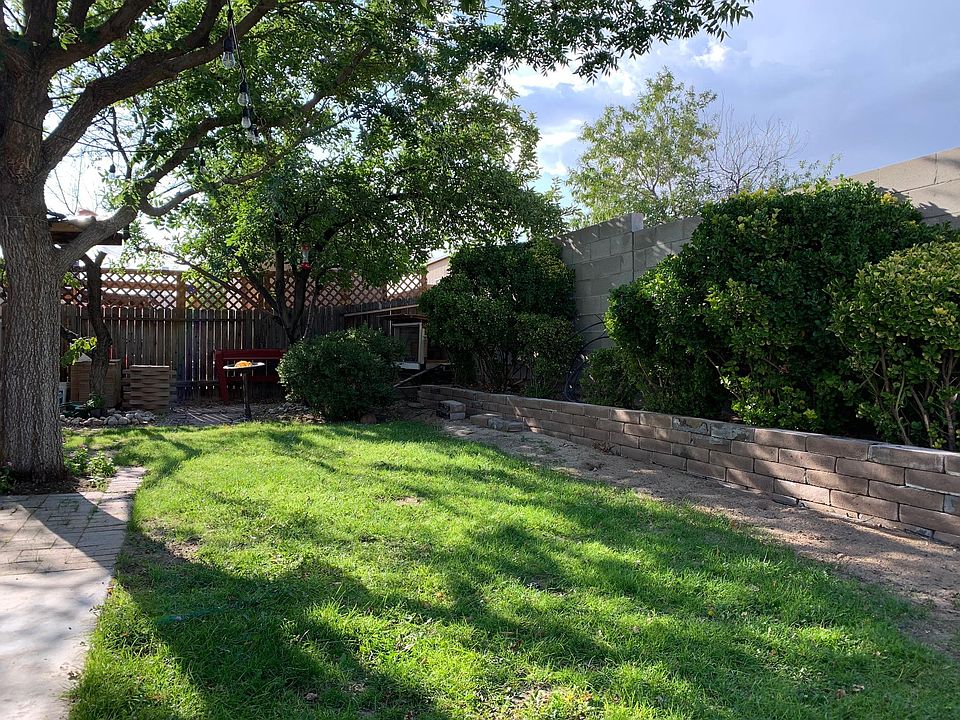 Back yard