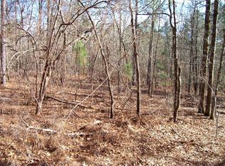 171 George Brown Rd, Pelion, SC 29123