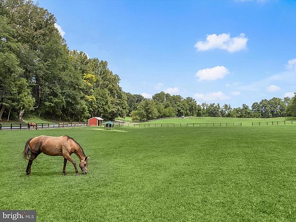 5th image of 10901 Moxley Rd