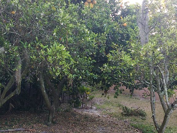 2nd image of 107 Autumn Dr