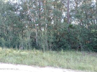 0 Jim, Interlachen, FL 32148