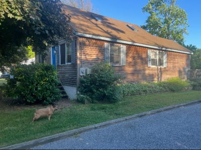 51 Reeds Beach Rd, Cape May Court House, NJ, 08210