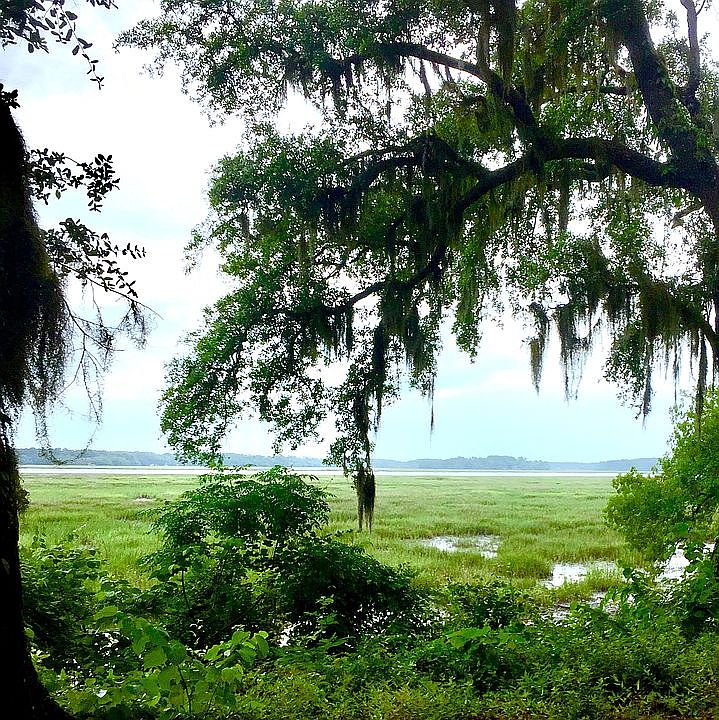 waterfront intercoastal view