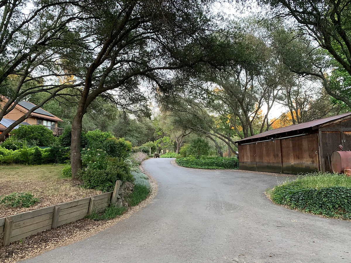 Building Photo - Rancho Los Pavos Ln