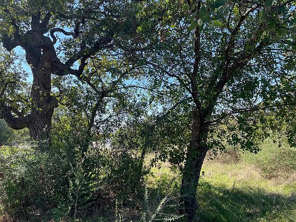 4th image of 1933 Forest Trail