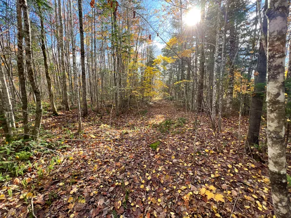 Lot 4 Monument Road, Amity, ME 04471