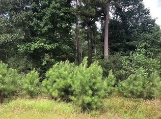 29213 Village Crk, Magnolia, TX 77355