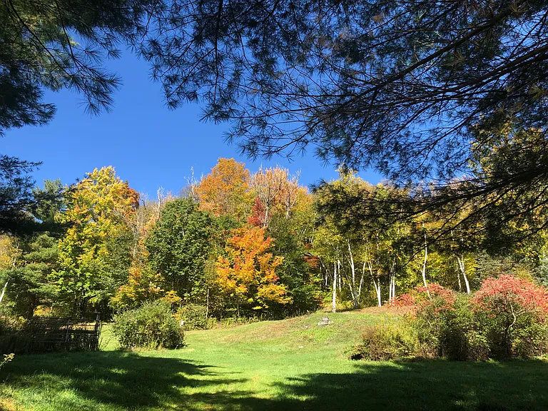 Harvey Mountain Rd — Photo 41