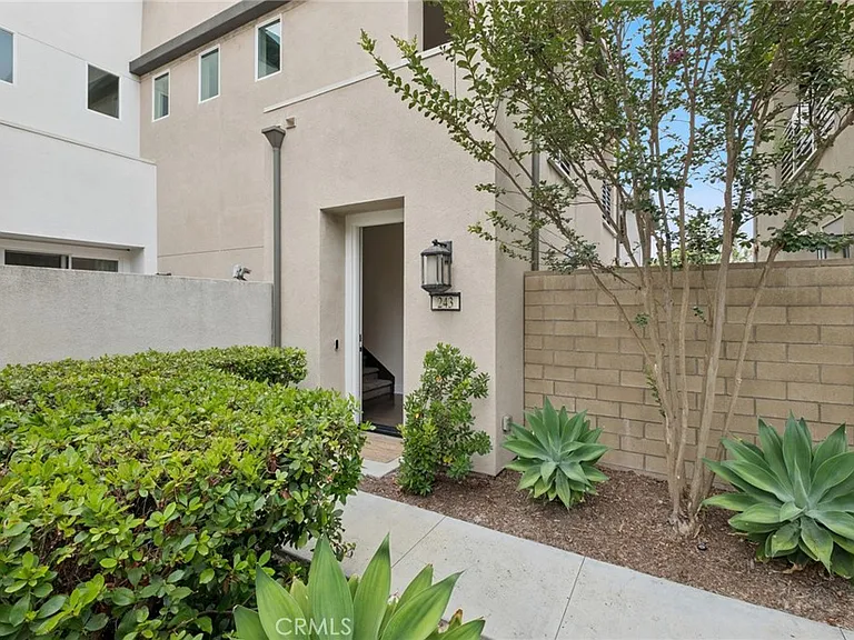 243 Cultivate — Photo 22