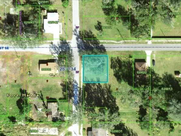 N Pine Ave, Fort Meade, FL 33841