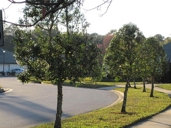 3rd image of 5418 Cumberland Forest Ln