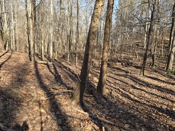 0 River Oaks Dr Lot 7, Big Sandy, TN 38221