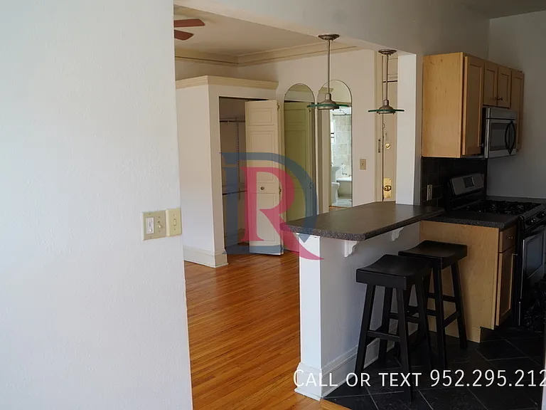 1820 1st Ave S #305 — Photo 5