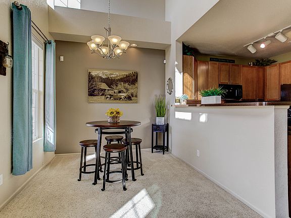 Dining and Bar Counter