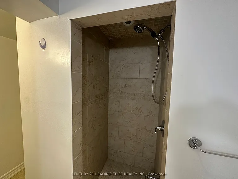 11 White Abbey Park #BASEMENT — Photo 15