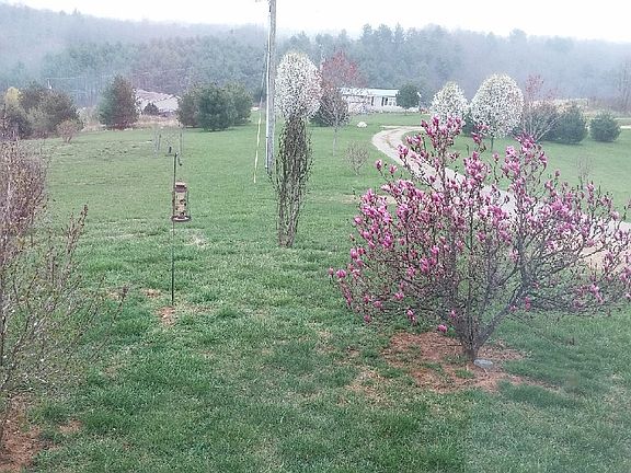 Springtime_house to Gracie