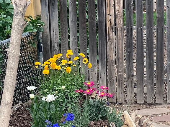 Perennial flowers flank from of home in raised beds