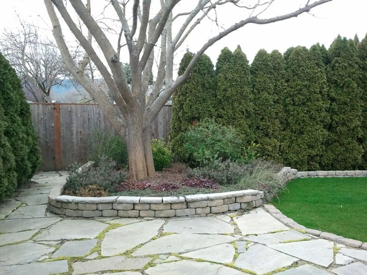 3 bedroom, 2 bathroom house located in Central Point - .18 acre lot — Photo 3