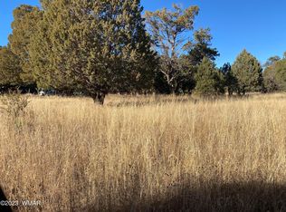 2192 Arrowhead Trl, Overgaard, AZ 85933