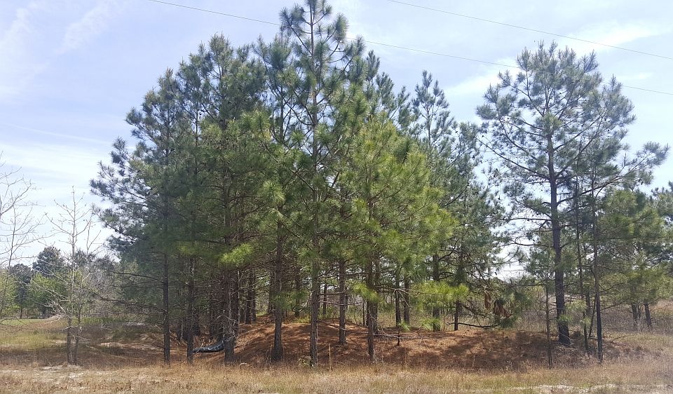 0 Wildcat Rd, Harrells, NC 28444 Zillow