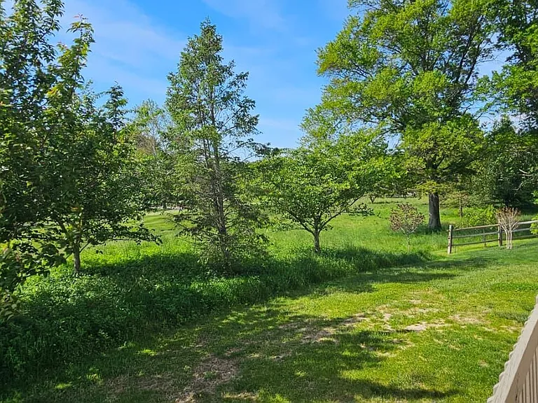 12 Patton Ct — Photo 29