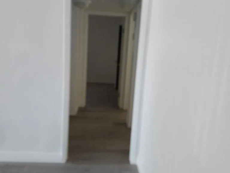 2013 Avondale Dr — Photo 14