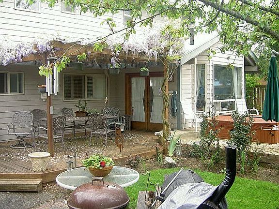 Back yard