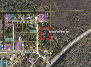 74 SE 255th St, Old Town, FL 32680