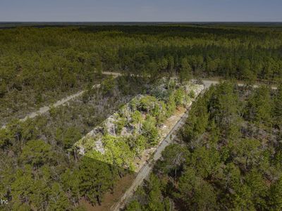 0 DOTHAN Street, Interlachen, FL, 32148