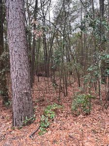 0 Durham Rd, Jackson, SC, 29831