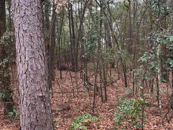 0 Durham Rd, Jackson, SC 29831