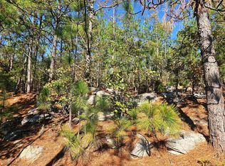 0 Kanasita Dr, Pell City, AL 35128