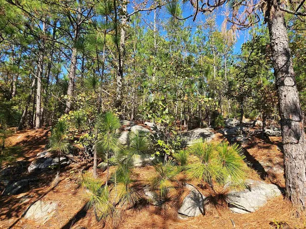0 Kanasita Dr, Pell City, AL 35128