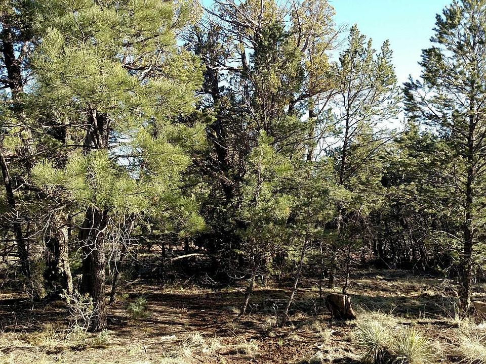 2nd image of 1964 Clear Creek Dr