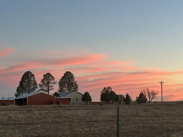 100 Metzger Rd, Estancia, NM 87016